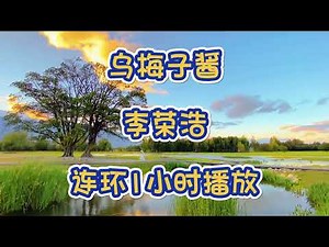 乌梅子酱,连环1小时播放