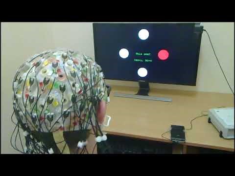 Steady state visual evoked potential (SSVEP) based brain-computer interface (BCI) performance under