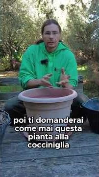 How to Prepare the Perfect Pot for Layering | WATCH THE FULL VIDEO