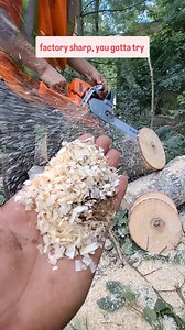 24K views · 737 reactions | A dull chainsaw is a dangerous saw, if...