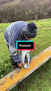 Romania travel guide 2026 — top sights, tips & facts