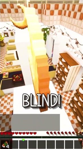 Is he REALLY that blind!? XD #mctv #mcrp #minecraft