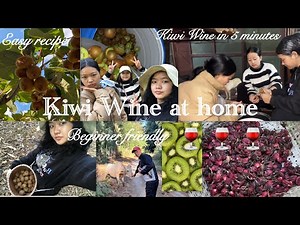 Harvesting the last Kiwi|| Homemade Kiwi Wine step by step||Kiwi Wine at home 🍷 🍷 🥝 🥝