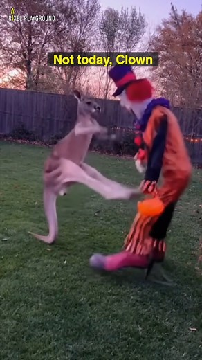 23K views · 158 reactions | Straight to the ground  | Pixel Playground | Facebook