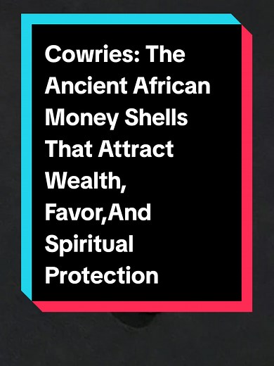 Cowries: Ancient Shells of Wealth and Spiritual Protection