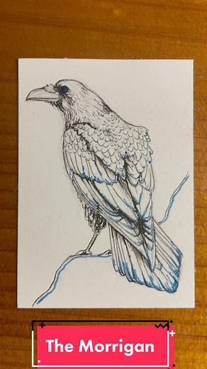 A wee ink line work drawing of a crow, in honour of the goddess The Morrigan #art #arttok #artist #ink #drawing #witchtok #pagan #morrigan