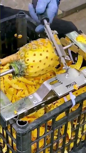 Pineapple peeling process a good tool can improve work efficiency