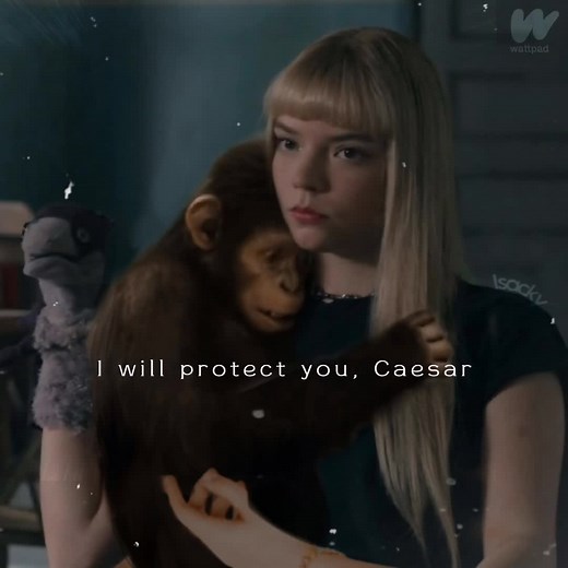 #WWTDfanfic |•| Deena siempre defendió y protegió a César hasta que dejó de entrar entre sus brazos y fue incapaz de cargarlo. Consciente de su futura madurez, lleno de un deseo puro y genuino, el joven simio se juró así mismo que él crecería más, sería muy fuerte, para que así fuera el turno de él en cuidar y proteger de Deena. La pequeña hierba que se nutrió del río a su costado, se haría tan alto para poder protegerlo de los ojos invasores al vital líquido que nunca lo abandonó. #WalkingWithT