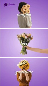 Flower Delivery UK | Luxury Fresh Bouquets by Master Flowers