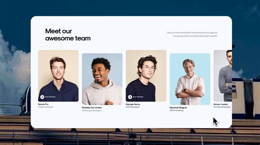 ● Team section UI Interaction