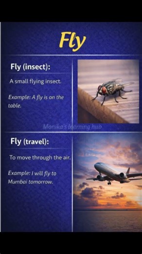 Fly ✈️🪰 | Same Word Different Meanings | English Vocabulary | Monika’s Learning Hub