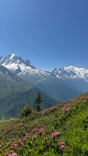 Pretty views from backpacking the TMB (Tour Du Mont Blanc). I’m really proud of myself for this one. 9 days, 180km, 3 countries, at least 10,000m of ascent, and self guided/solo. My legs are so tired. I was a bit nervous to do this on my own, not really because of the alone time but more just figuring it all out on my own, and keeping myself accountable for 15-27km per day with so much climbing. I started in France, hiked to Italy, hiked to Switzerland, then circled back and hiked to France, cro