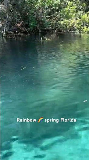 Rainbow Springs Florida | Crystal Clear Water You Won’t Believe!” A Perfect Day at Rainbow Springs