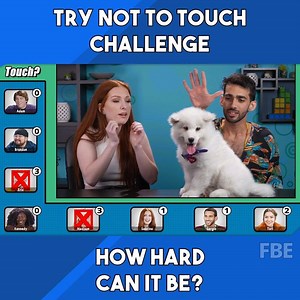 2.3M views · 1.5K reactions | Try NOT to touch challenges keep getting cuter and cuter!  Would YOU be able to resist petting fluffy animals? | People Vs Food By React | Facebook