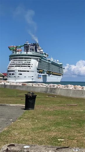 Shellzzz (@shellyd41)’s videos with original sound - Shellzzz