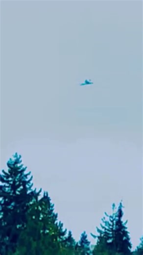 flying a plane #plane #remote control