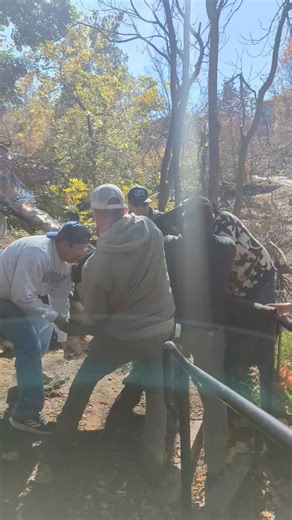 Deb Pearse Mitchell on Reels