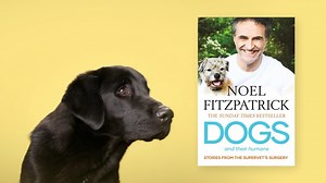There is nothing quite like the love of a dog, and I captured the essence of my life with dogs and some of the touching stories of the bond we share with our canine companions in my newest book, Dogs and their Humans. The paperback is out this month on 13th March and is available for pre-order now x https://linktr.ee/dogsandtheirhumans | Professor Noel Fitzpatrick