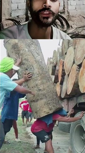 Timber wood lorry loading sed song #wood #viral #automobile