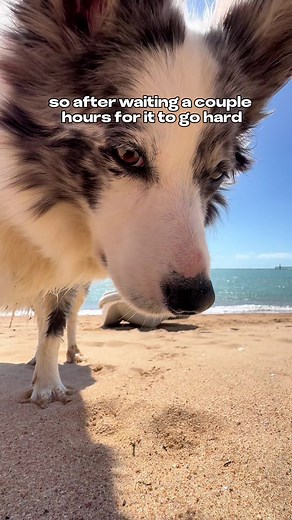 Exploring Boat Life: A Catamaran Adventure