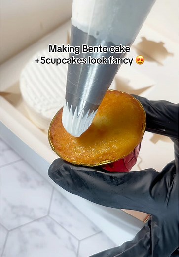 Bento Cake and Cupcake Decoration Tutorial