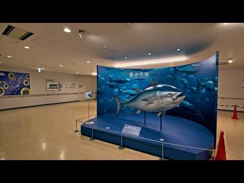 Japan's Toyosu Market [4K] World's Biggest Fish Auction in Tokyo
