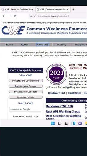 CWE in Focus: Exposing the DNA of Software Vulnerabilities