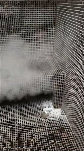 Steam Bath Setup: Temperature, Timing, and Inside View 🚿✨