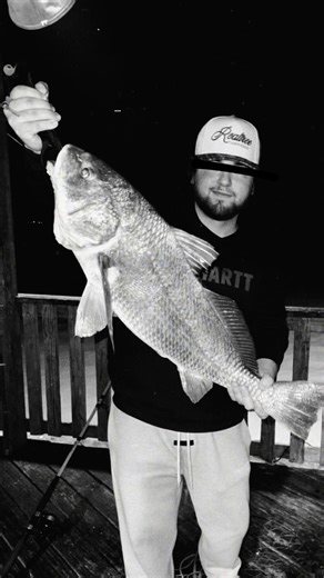 Black Drum Fishing with Frozen Shrimp in Port Isabel, TX