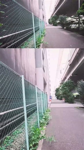 TOKYO MORNING WALK: Calm Sunrise, Breakfast & Rainbow Bridge Views (Tamachi/Minato-ku) ☕