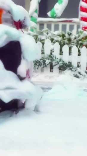 8 years of going down Candy Cane Lane today 🍬 happy birthday, Everyday Is Christmas! - Team Sia | Sia