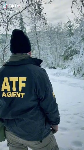 Are those level 4 plates?