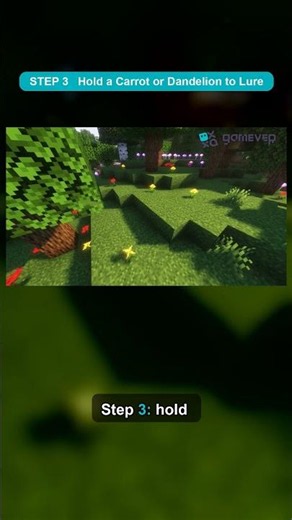 How to Tame and Breed Rabbits in Minecraft #shorts