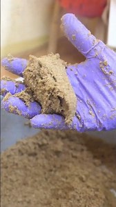 How to make seeds of shiitake mushroom| spawn ingredients