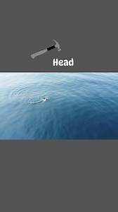 24K views · 311 reactions | Hammerhead shark off Ocean City,Md aboard the Angler 8/16 | Angler Deep Sea Fishing | Facebook