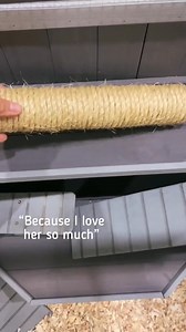 Gracie wanted to show you guys Ana’s new house! | Aymie Herman And Family