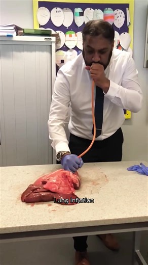 Approaching Science 😱😱😱 #science#scienceexperiments#fyp#teacher#teacherlife