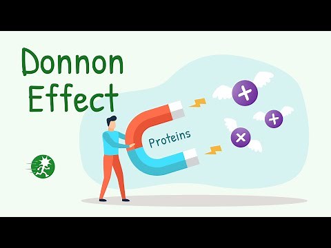 Donnan Effect | Gibbs Donna Equilibrium | Membrane Physiology