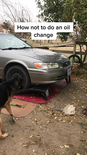 Toyota Probox Oil Change Tips and Tricks