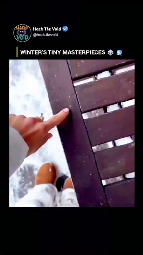 Kanav on Instagram: "❄️ Why is every snowflake unique? Snowflakes form through hexagonal ice crystal growth in clouds. As they fall toward the ground, tiny variations in temperature and humidity shape their structure differently—making it almost impossible for any two snowflakes to be identical. 🧠 Science is stunning, just like winter. 🎥 Credit: Inspired by NOAA / NOAA Research ✨ #viralreels #snowfall #snowflakes #winter #explorepage sciencefacts icecrystals weather wintermagic"