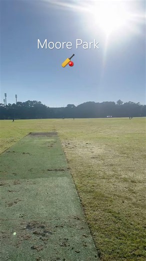POV: You scored the perfect seat at the SCG 🏏 #cricket #australiadiaries #shorts
