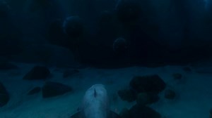 Watch 'Mind your distance, though. Those balloons can be a bit dodgy. You wouldn't want one of...' | Finding Nemo Clip