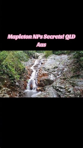 I Found A Sunshine Coast Secret!┃Cedar Creek Falls Mapleton National Park QLD Aus #mapletonnp #qld
