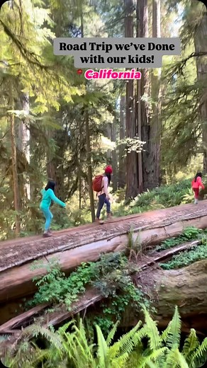 129K views · 13K reactions | Spring break ! It’s a Perfect weather...