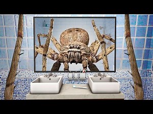 Я ПРЕВРАТИЛСЯ В ПАУКА ОХОТНИКА! УГАР И БЕЗУМИЕ В Garry`s Mod