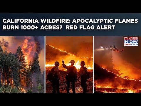 California Wildfire: 1000+ Acres Burn| Outage Amid Apocalyptic Flame| Red Flag Alert| Thousands Flee