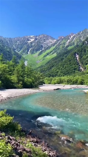 angie professional cleaning (@angie52522)’s videos with sonido original - ♛☻𝙈𝘼𝙐𝘿𝙄𝙀𝙇☻♛