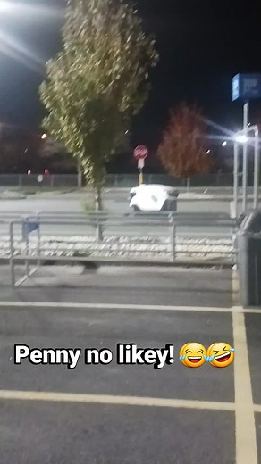 Walk out of Walmart & I can hear Penny girl jus raisin hell I mean it's the serious barkin so I'm thinkin someone is over by my rig. . . . mind you I'm parked waaaaaay da hell in the very back! (that's how loud she was & my windows were cracked) So I start runnin with my groceries thinkin ima gonna catch a thug messin with somethin. . . . . . .well . . . . there's the thug! 😂🤣 I'm dyin!! (yes Jessica Ham picture me runnin from your dam bull! lol) | Francine LaMay