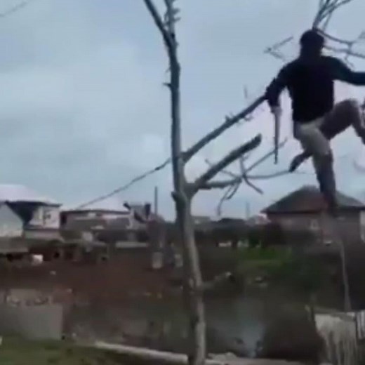 Man cuts the branch he sits on