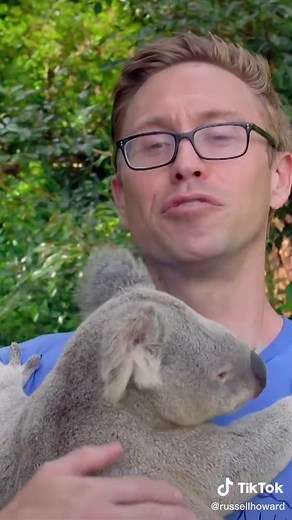 Cuddling a Koala with Russell Howard & Robert Irwin | Hug a Koala Experience